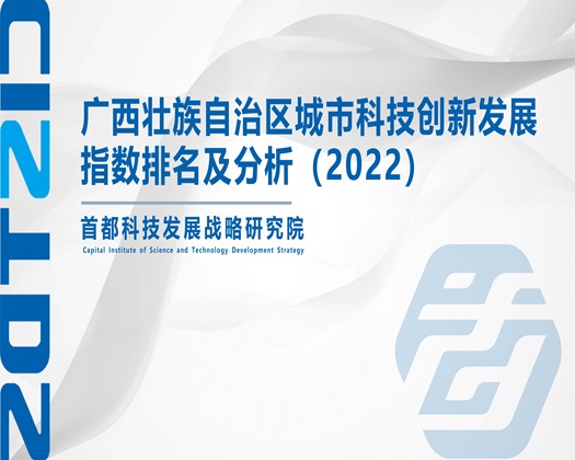 欧美男人操女人逼【成果发布】广西壮族自治区城市科技创新发展指数排名及分析（2022）